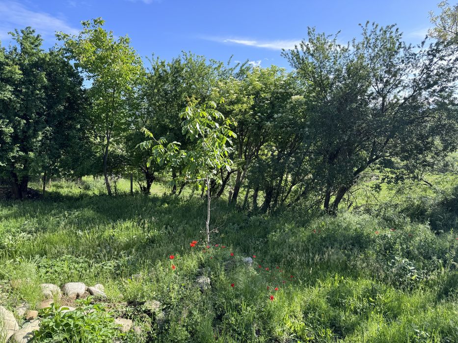 Продава се Къща в с. Асен, Област Стара Загора - 120 кв.м за 234 €/кв.м - Снимка #3