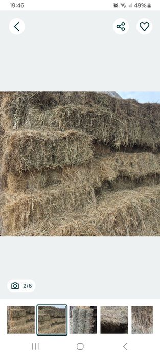 Vând baloti de fan de anu trecut