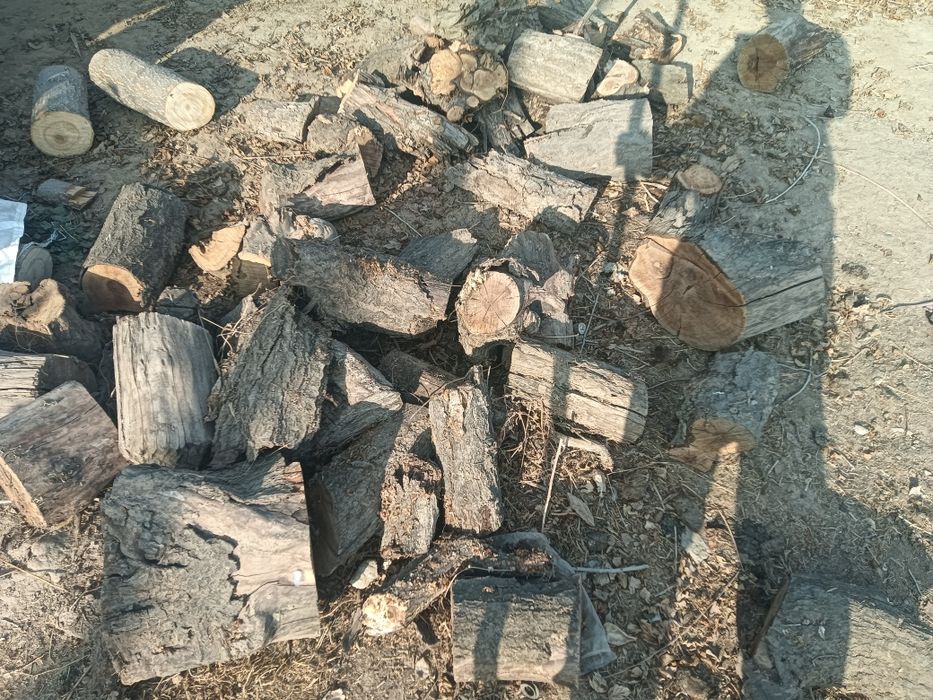 Отын бар машина телешка 15000мын