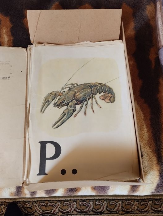 Детская книга для первого класса