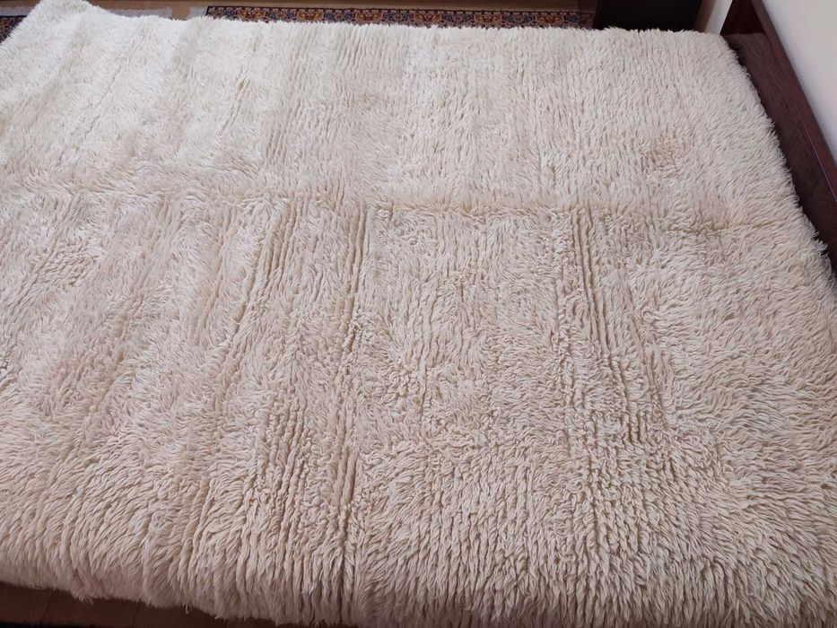 Китеници различни