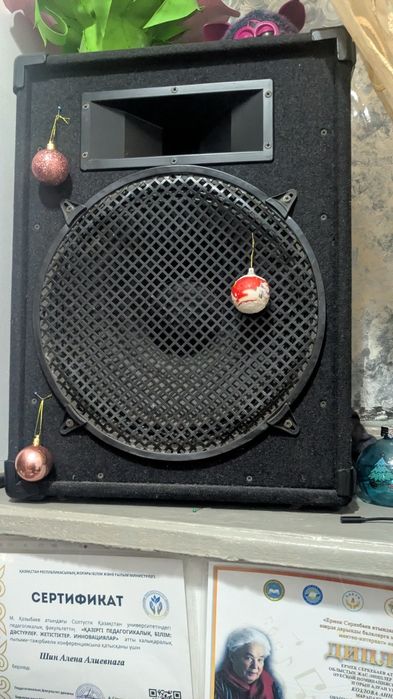 Колонки и  пульт