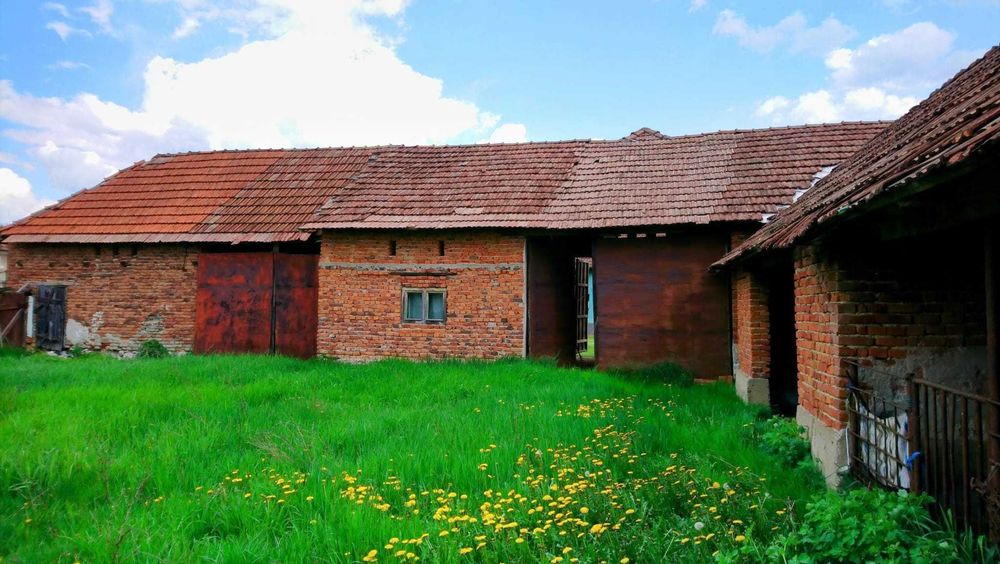 Casa intravilan - curte si gradina