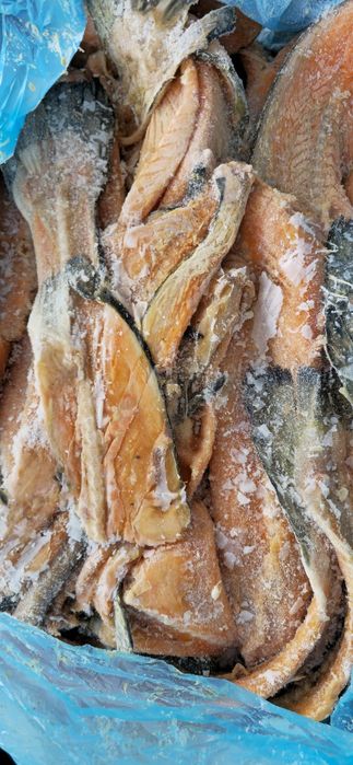 Хребты семги Франция