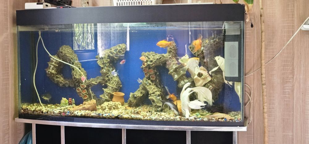 Akvarium 200-250litr