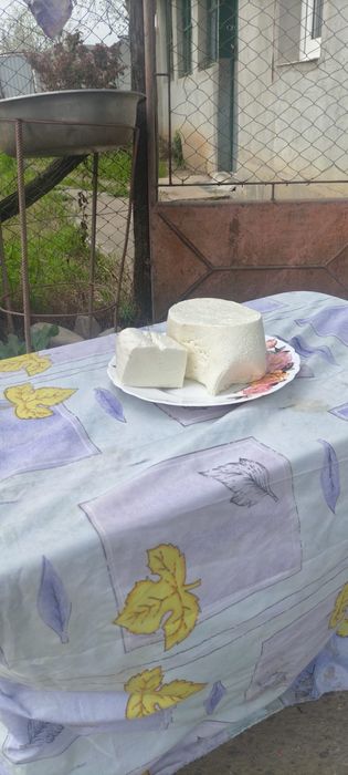 Branza de oaie de vanzare