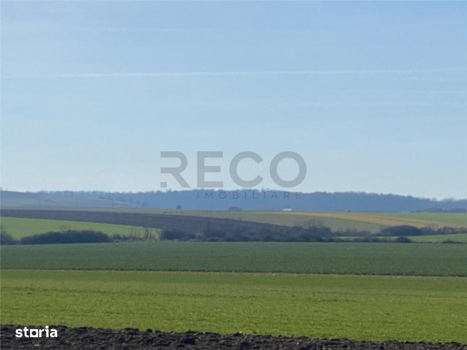 RECO Teren  pentru investitie  4ha Tauteu-Zona Autostrazii Transilvani