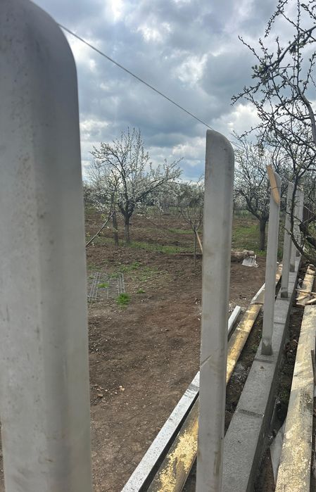 Spalieri beton , gard , livezi