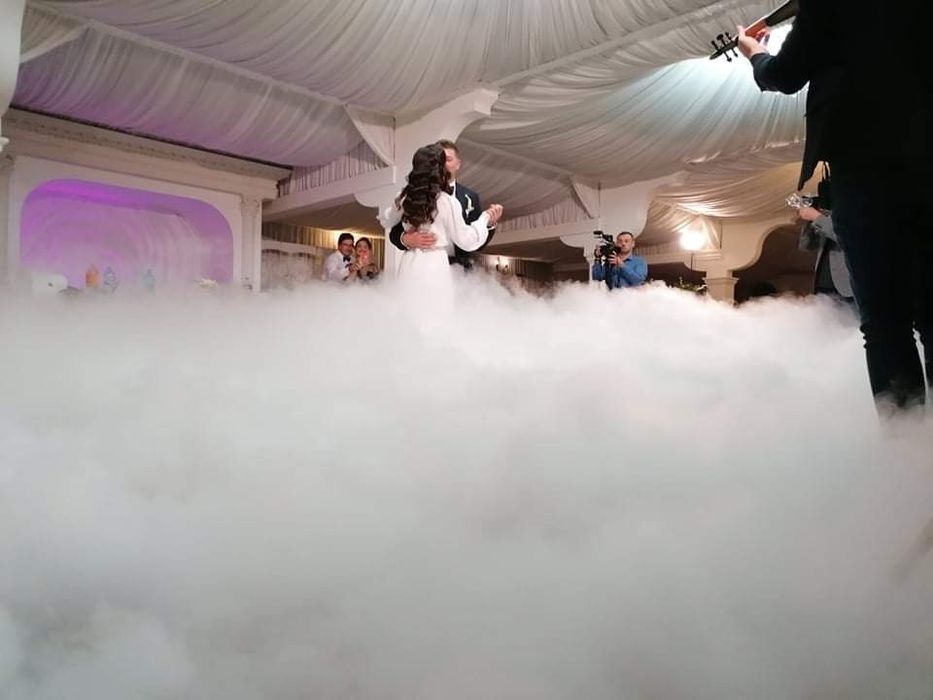 Gheata carbonica Sannicolau Mare si imprejurimi nunti botezuri