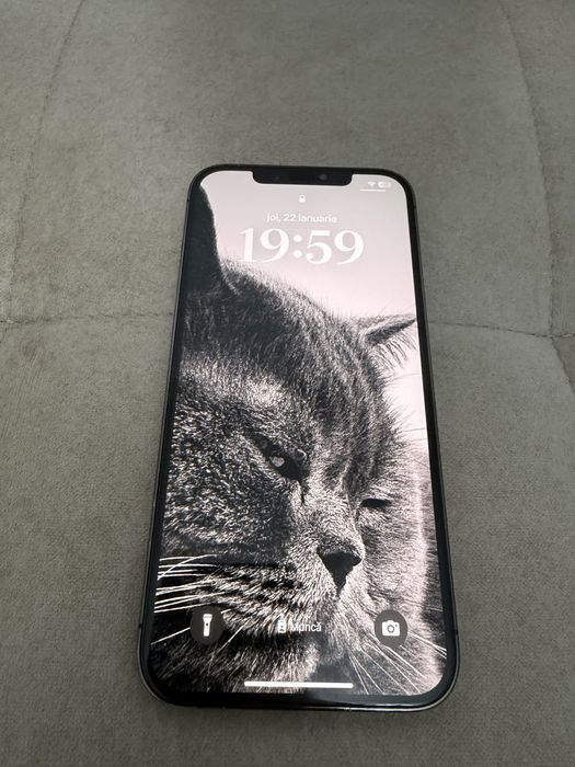 Vand Iphone 12 Pro Max