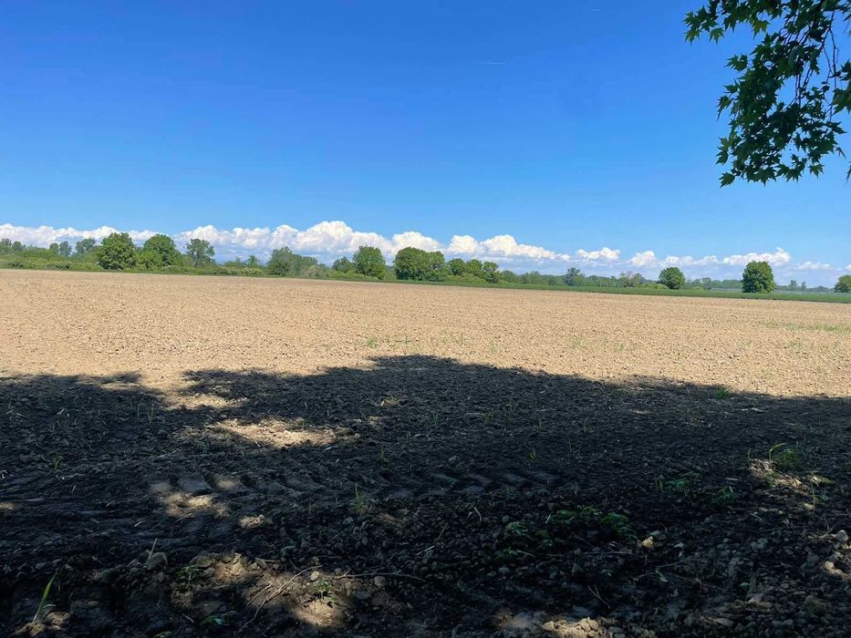 Продава се Парцел в с. Ягодово, Област Пловдив - 7996 кв.м за 15 €/кв.м - Снимка #1