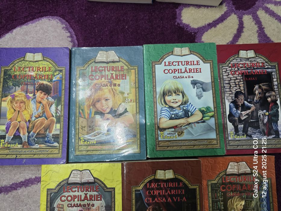 Dictionare sinonime, paronime, omonime