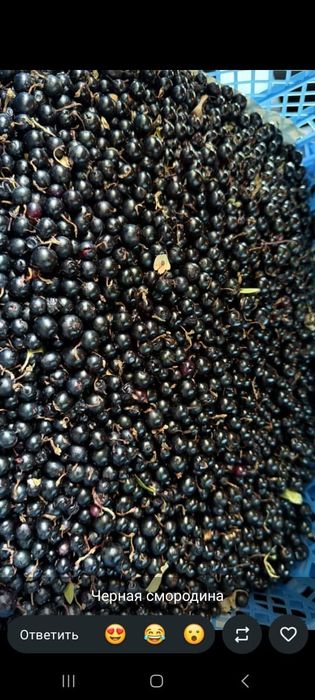 Продам свежую сладкую ягоду