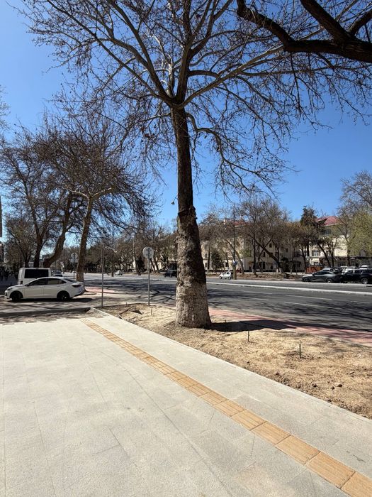 Шота Руставели нежилое помещение 75кв.м первая линия срочно