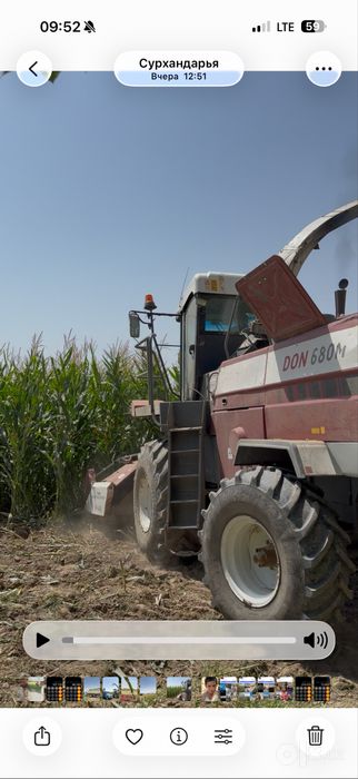 Makka silos donlari bilan