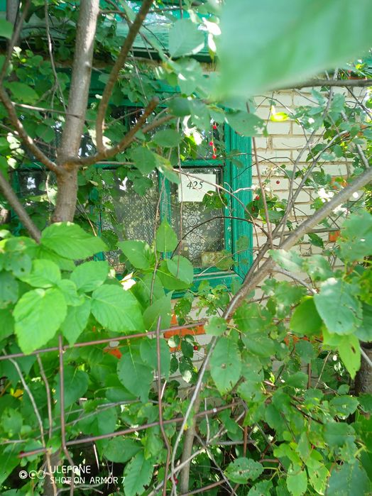 дача в СО Мелиоратор, 4 улица