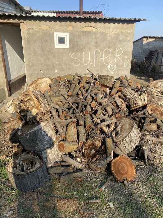 дрова орех и урюк