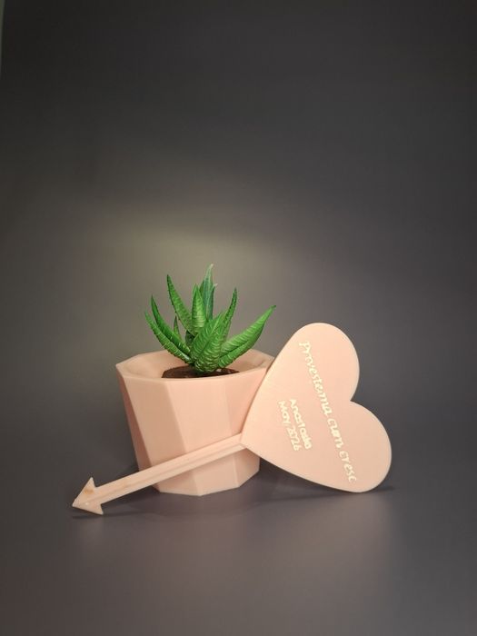 Mărturii botez personalizate – ghiveci cu suculentă + mesaj gravat