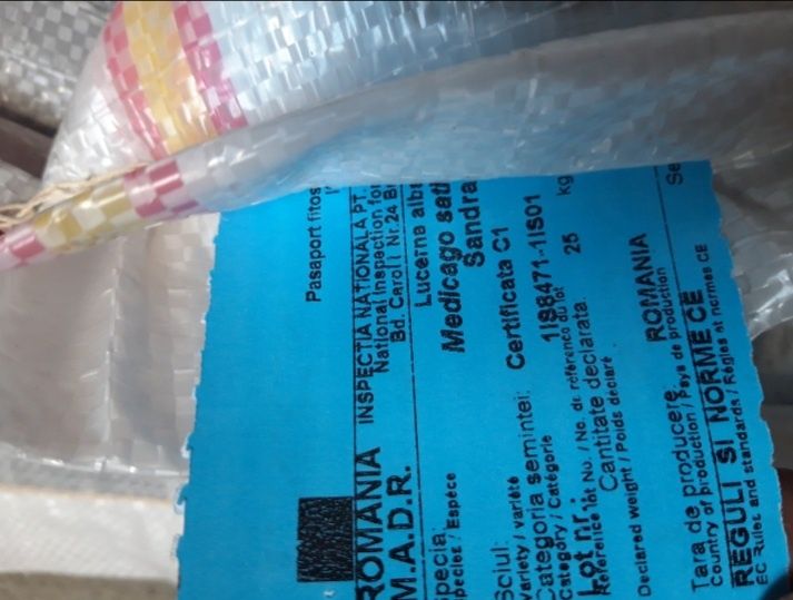 Samamanta Lucerna Certificata rec 2025