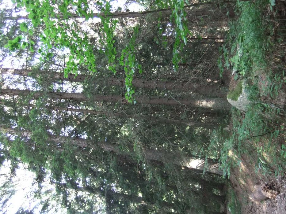 Продава се Земеделски имот в София, Люлин 10 -  кв.м за 378 €/дка - Снимка #1