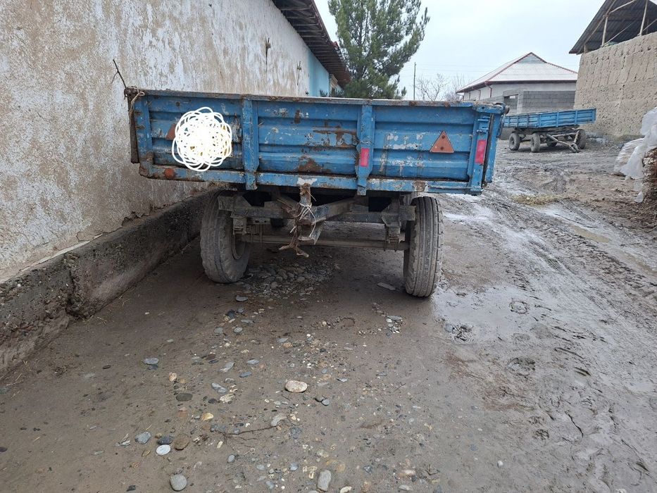 Телешка прсепла сотилади сеткалари бор