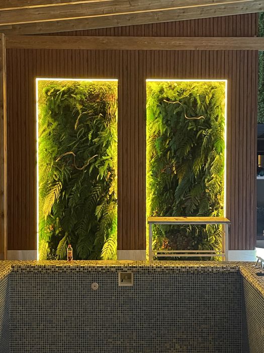 стабилизированный моx