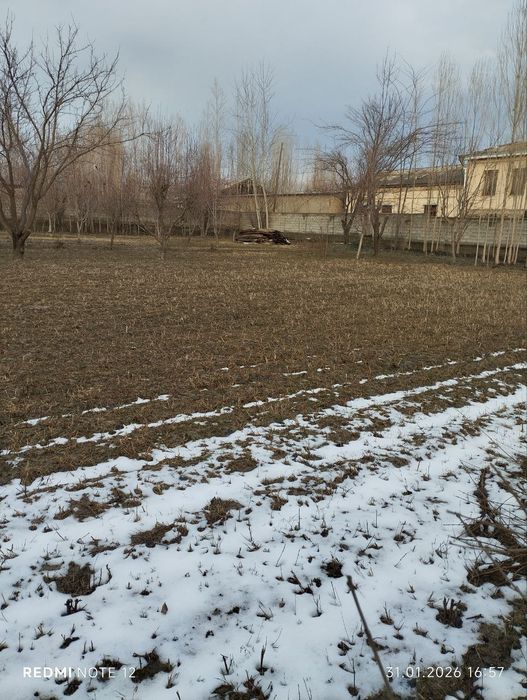 Ер сотилади 10 сутик