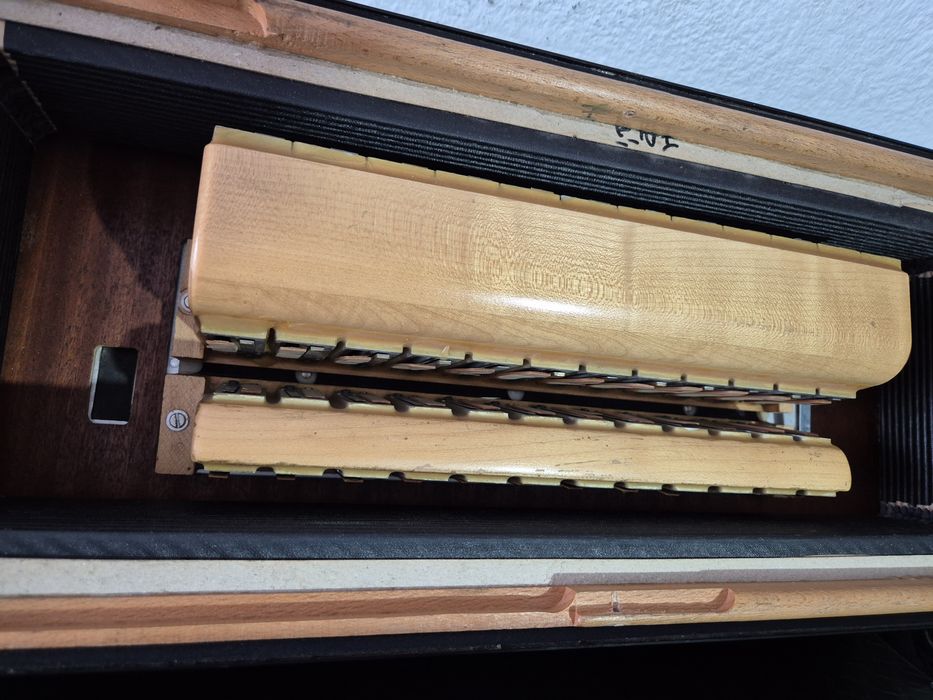Acordeon Weltmeister Supita stare super