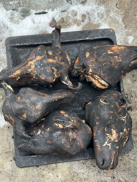 Бараньи головы в наличии