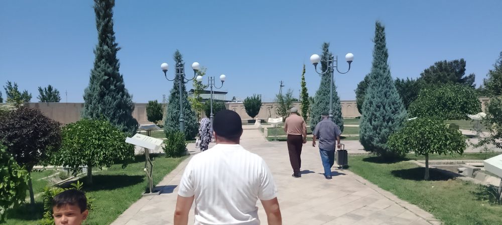 Арча ва атиргуллар ни дорилаш ва парварлаш хизмати