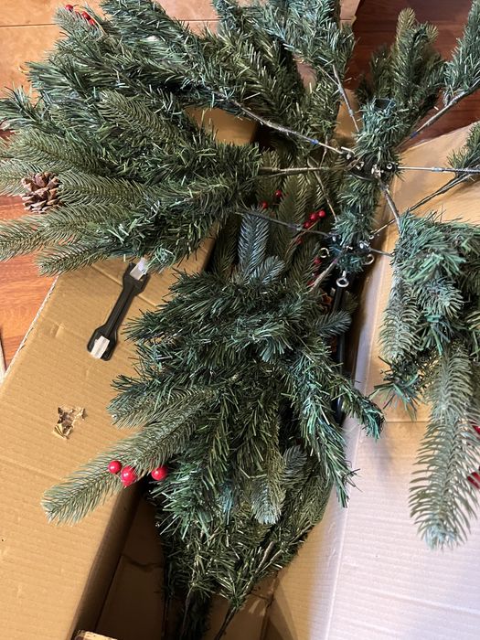 Елка рождественская