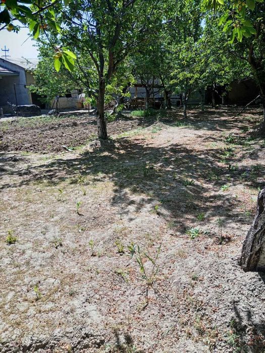 Yer sotiladi parkentda kadastr bor