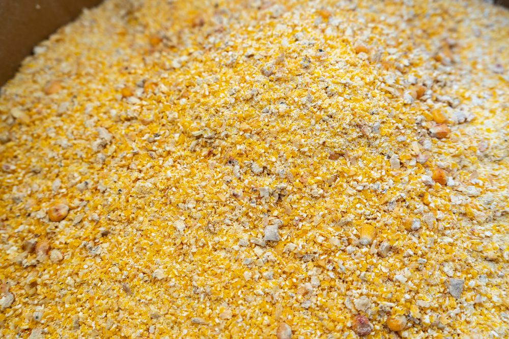 Moară aplatizor cereale GX 200