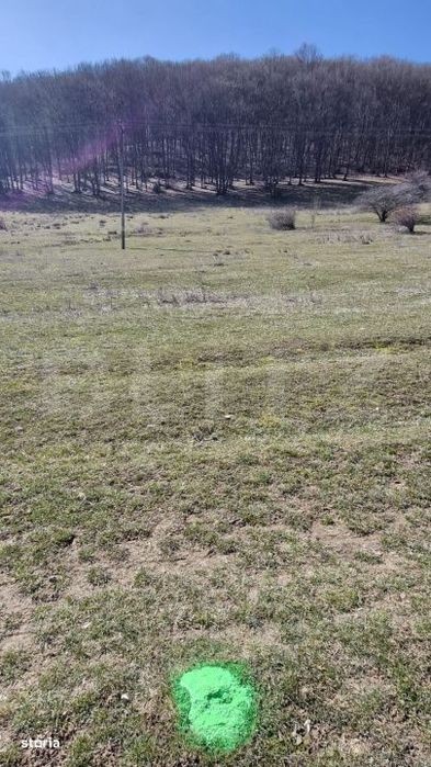 De Vanzare: Teren intravilan exceptional in Codlea - priveliste de vis