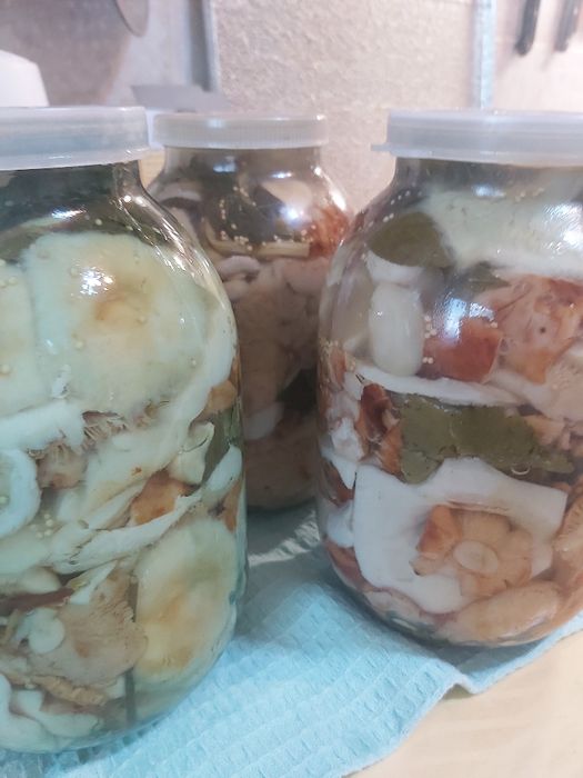 Грибы маринованные и солёные.