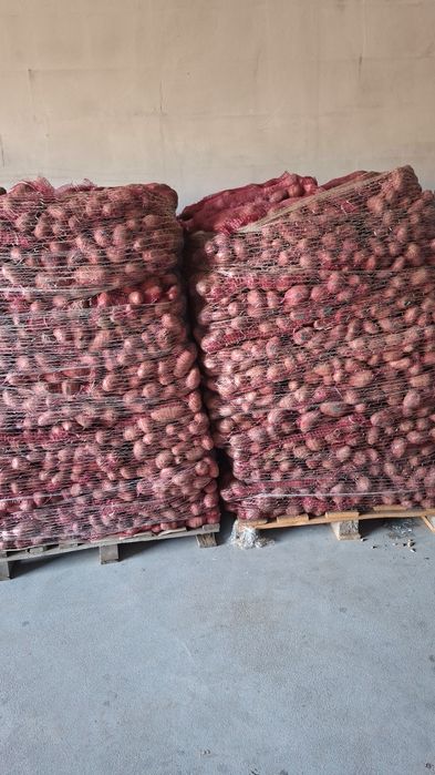 Vând cartofi orice cantitate la preturi  convenabile