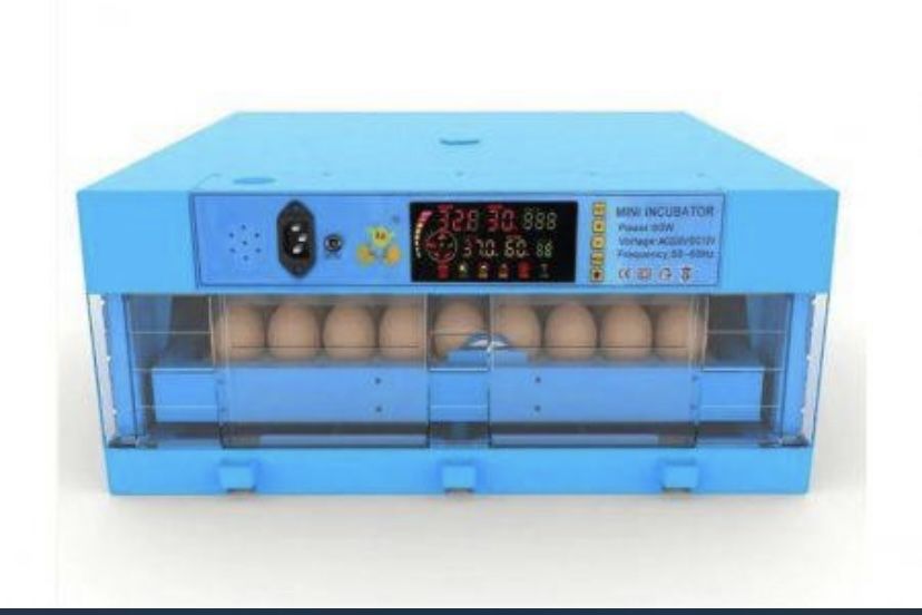 Инкубатор для яиц