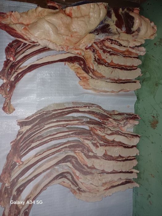 Продам соғым, байтал