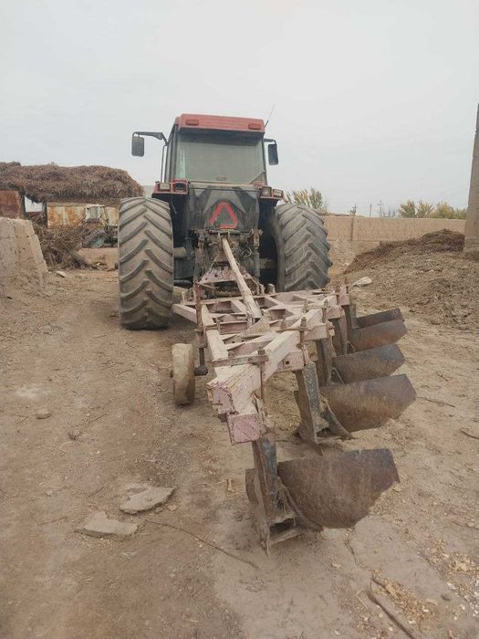 Porno tomoq oral seks