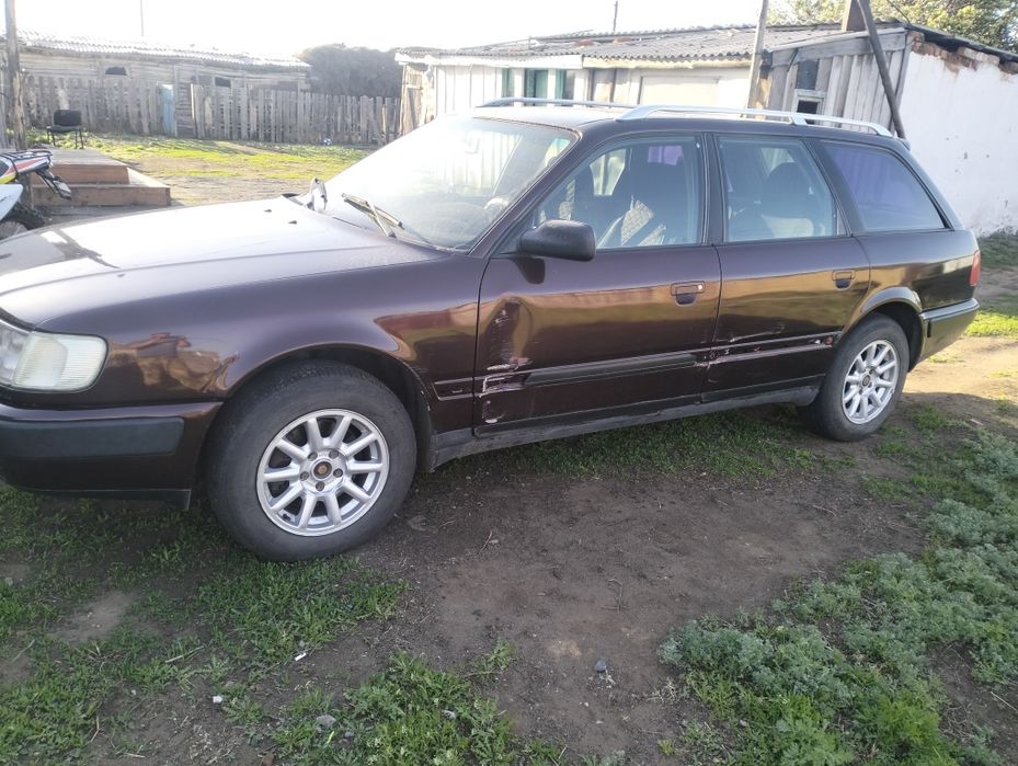 Обмен на сельхоз животные  на лошадей