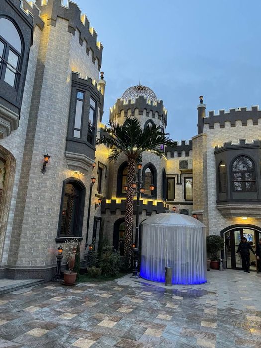 Сунний пальма дарахтлари Palma