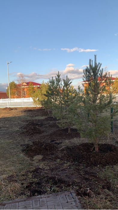 Благоустроиство территории Укладка Брусчатки