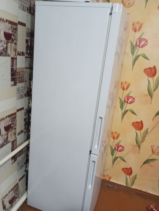 Срочно продаю Холодильник "Бориса"