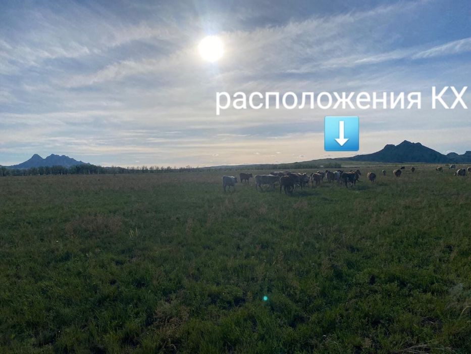 Продается Крестьянское Хозяйство
