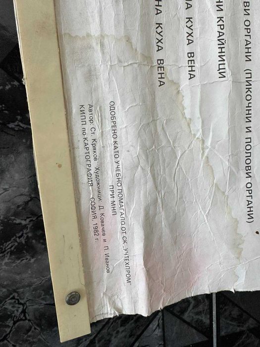 Соц Учебни Медицински Плакати Постери
