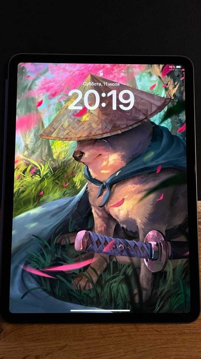 ipad pro 11 2018
