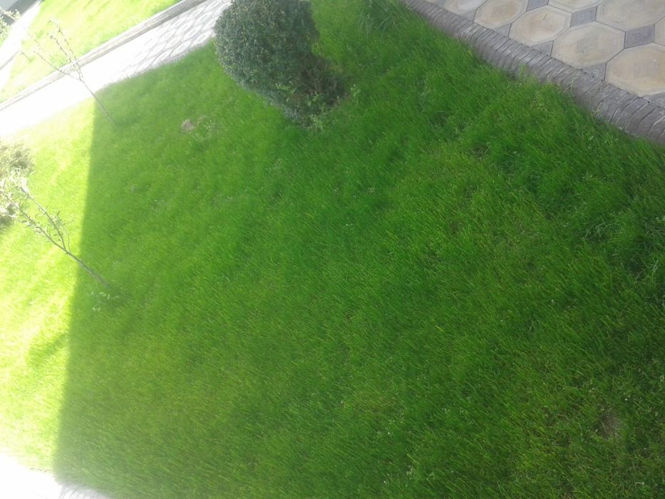 Газон Автополив !