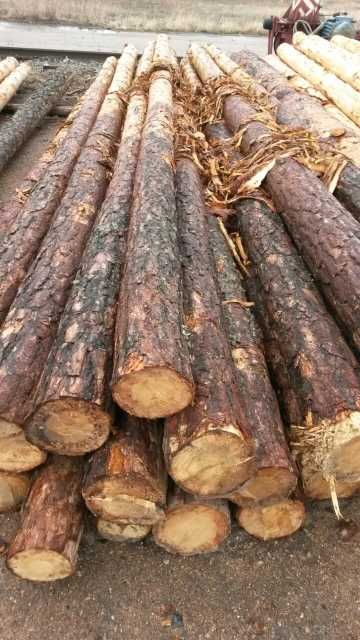 Деревянные опоры для ЛЭП и пиломатериалы