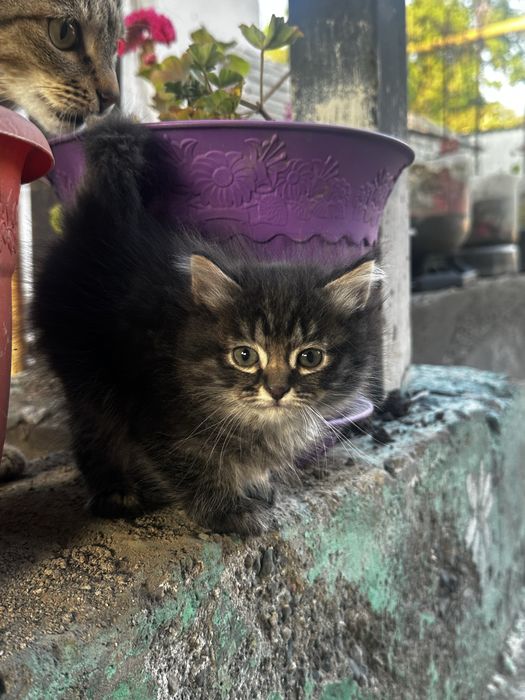 Только в любящие руки