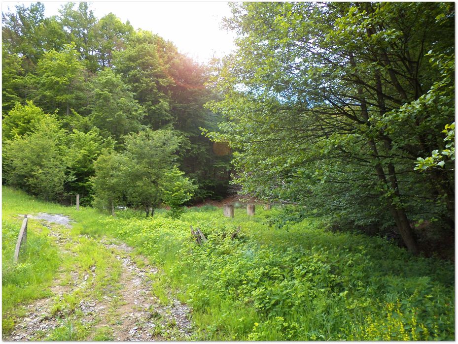 Продава се Къща в с. Бойновци, Област Габрово - 500 кв.м за 37 €/кв.м - Снимка #10